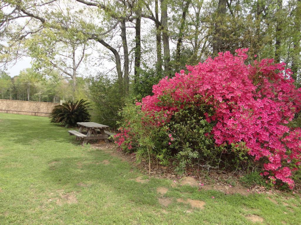 Garden Inn And Suites Silsbee Exteriör bild